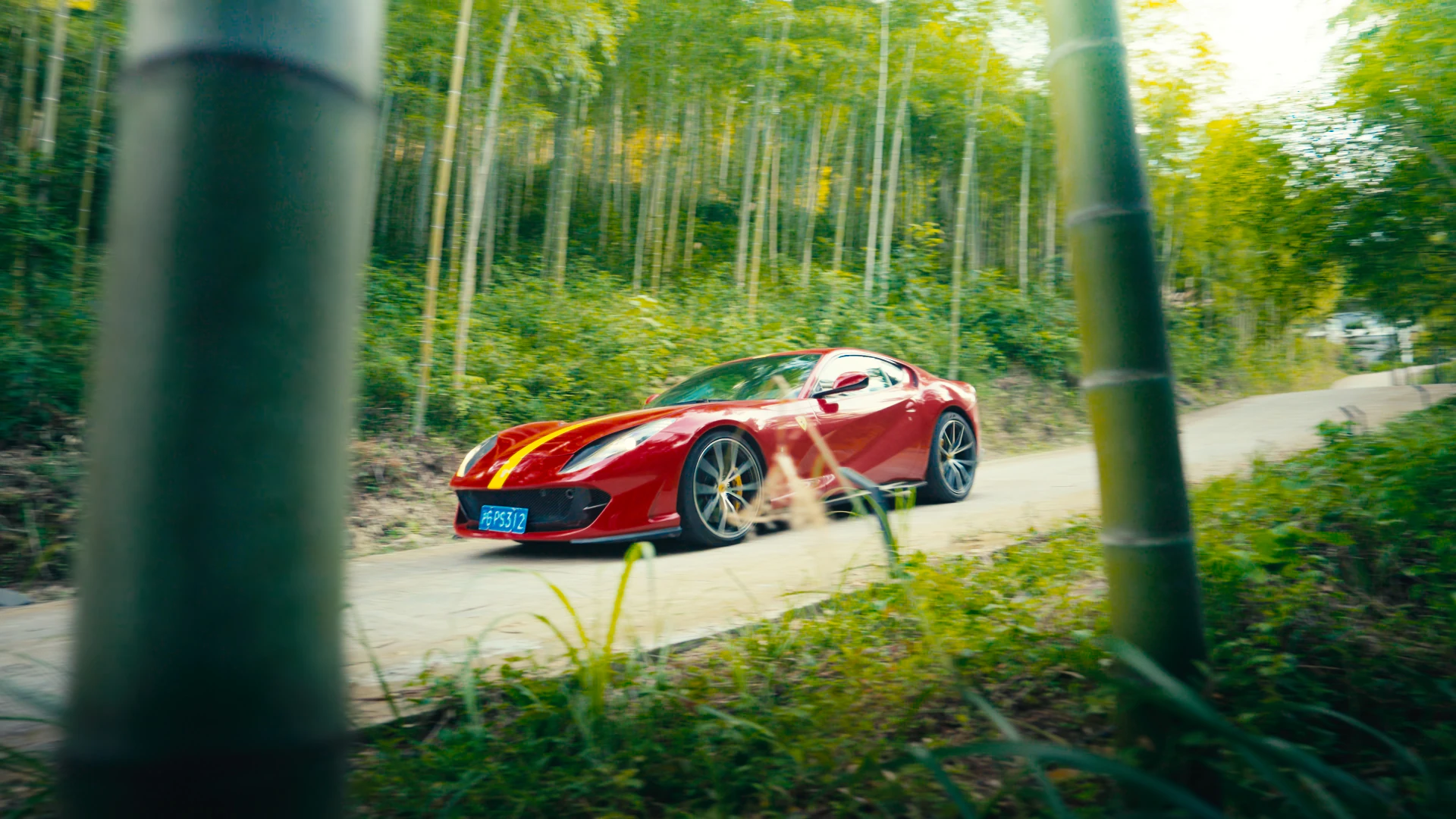 Ferrari dans une forêt de bambous, look final