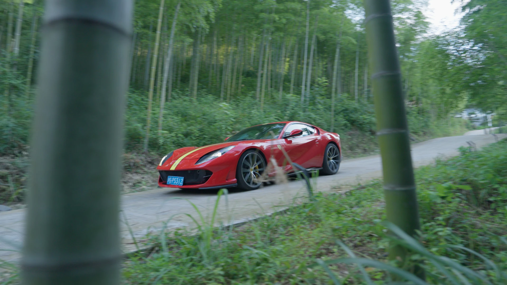 Ferrari dans une forêt de bambous, Rec. 709